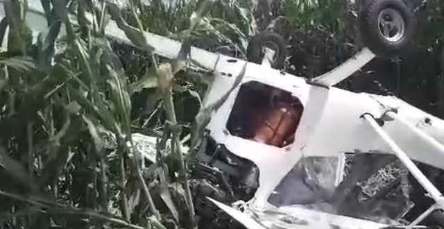 На Сумщине разбился самолет, который обрабатывал кукурузное поле