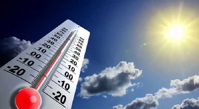 Синоптик рассказала, какой будет верхушка календарного лета