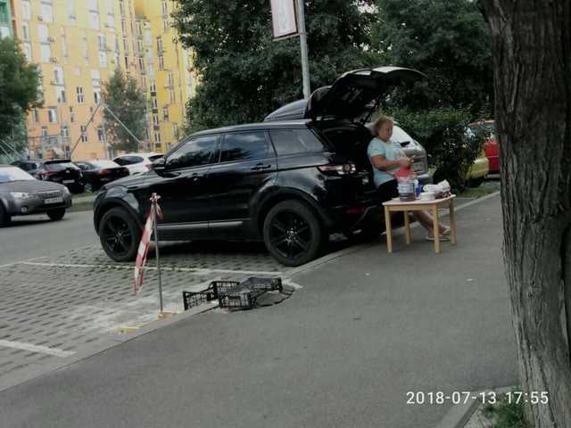 Вместо зонтика: Сеть рассмешила пенсионерка, продающая сливы с Range Rover Evoque