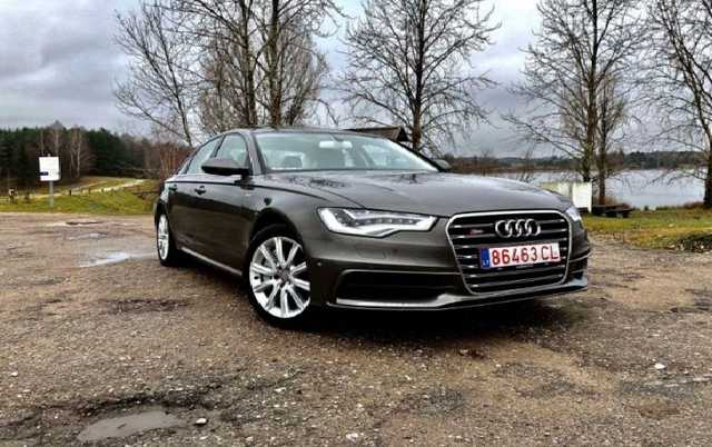 Аферисты в Европе прощупывают почву, чтобы нажиться на украинских «бляхах»