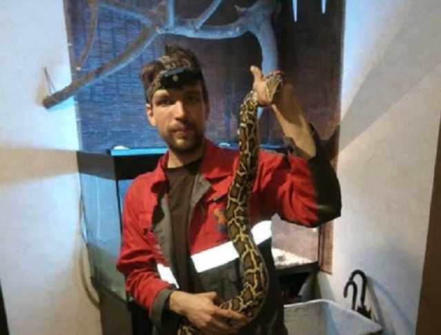 Неподалеку от центра Киева на фонаре обнаружили двухметрового питона