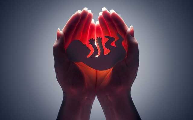 Важко повірити: У громадській вбиральні на Житомирщині виявили ембріон