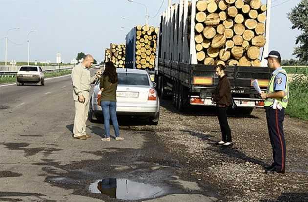 Контрабанда леса: Рада нашла виновных