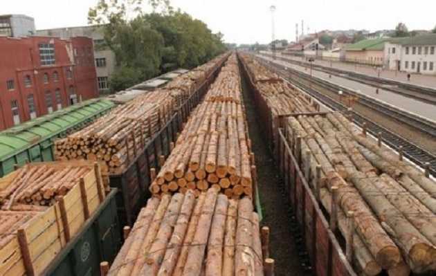 Блогер: За год все не вывезут – украинцев и леса у нас много