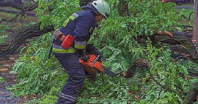 Днепр затопило и завалило деревьями