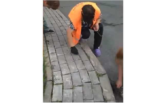 "Сушили лужи, мыли землю": в Беларуси опозорились подготовкой к визиту Лукашенко