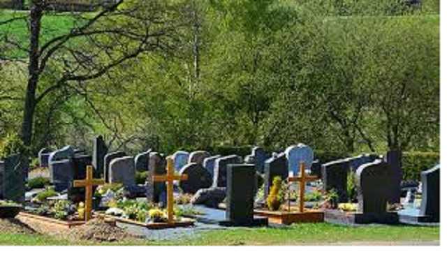 Вишгородський зомбі-апокаліпсис або як місцеві чиновники заробляють на смерті