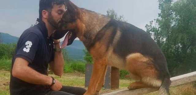 В Италии отравили собаку-героя, которая спасала людей при землетрясении