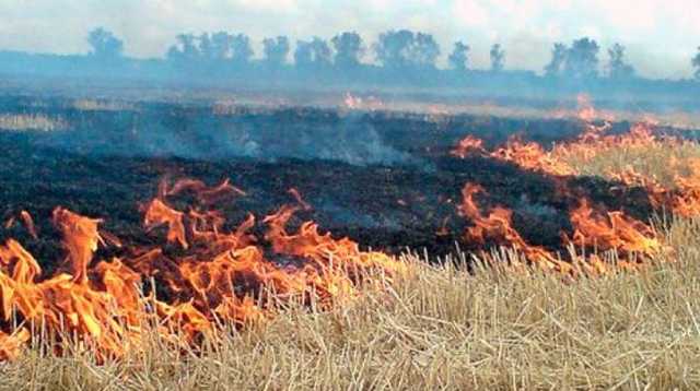 "Л/ДНР" прицельно ударили по ВСУ: Украина понесла потери