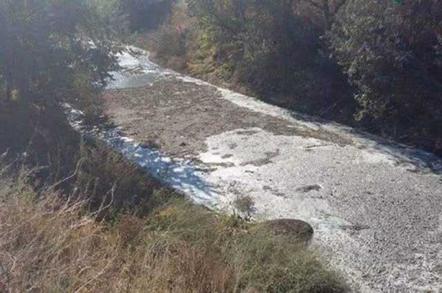 Местная птицефабрика устроила Чернобыль на Херсонщине