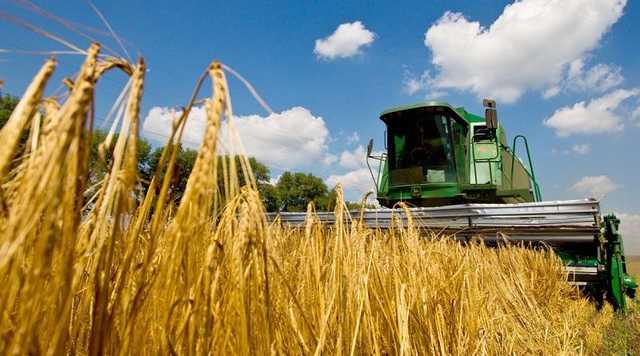 Бідні агрохолдинги. Куди зникають мільярди держпідтримки для аграріїв