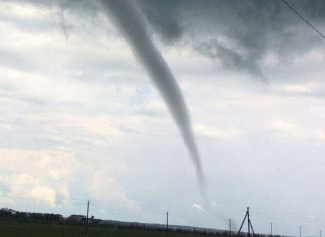 Между Ужгородом и Мукачево пронесся смерч, появилось видео