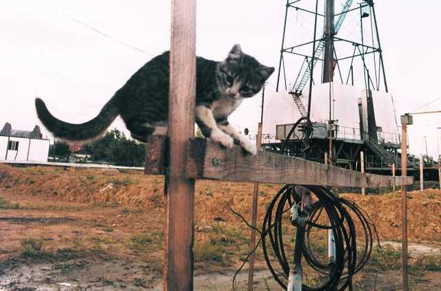 В Украине не растет, а падает добыча газа — «Зеркало недели»