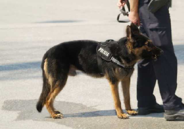 В Испании мужчина открыл стрельбу в баре: один человек погиб