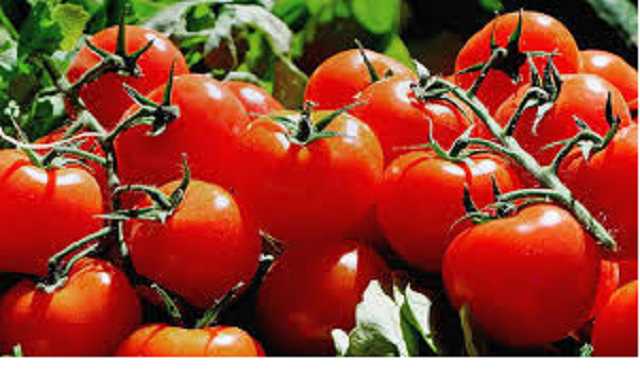В Крыму всполошились из-за рекордно дорогих помидоров