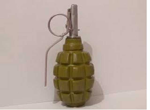 В дом депутата бросили гранату: подробности