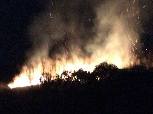 На Одесчине сожгли виноградники французского винодела, он обратился к Порошенко