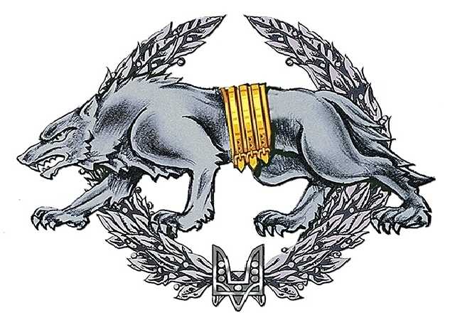 Оборотни-вурдалаки: геральдист рассказал о новой форме Сил Спецопераций Украины