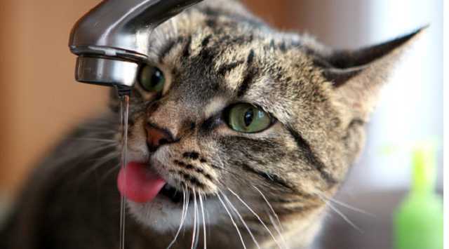 В Киеве отключат холодную воду на двух улицах – график и список адресов