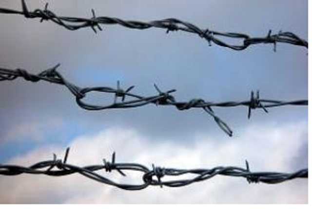 Для здания ВРУ покупают сотни метров колючей проволоки