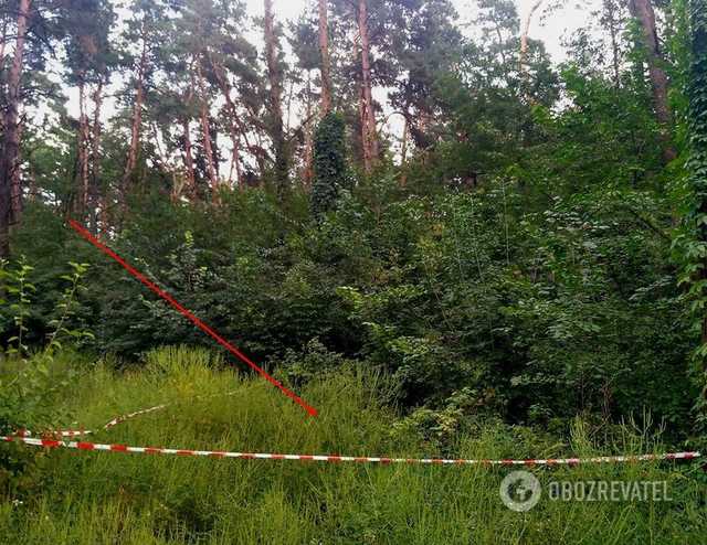 В Киеве нашли изуродованные тела женщин, местные жители боятся, что орудует маньяк