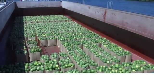 В Киев еще отправят баржи с арбузами