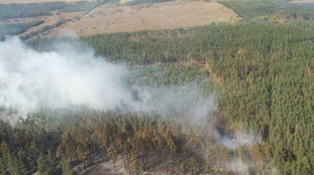 Под Харьковом вторые сутки не могут потушить масштабный пожар