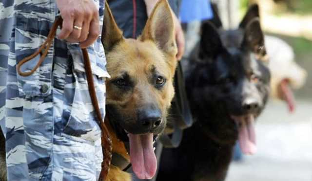 Во Львове ищут взрывчатку в одном из торговых центров