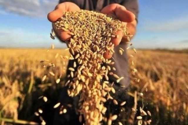 Депутаты Валерий Дубиль и Олег Аверьянов банкротят агроактивы на Черниговщине