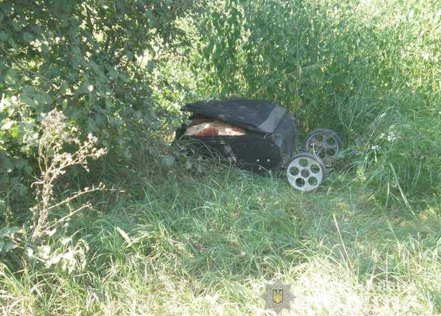 На железной дороге под Киевом нашли чемодан с расчлененным женским телом внутри