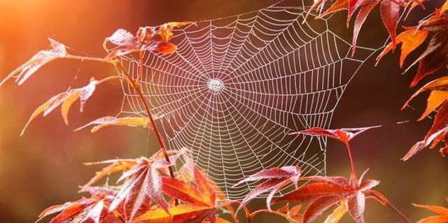 Когда в Украине по-настоящему похолодает: синоптик дал прогноз