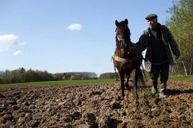 Бедные платят за богатых: агрохолдинги уже выгребли из бюджета 95% госдотаций – эксперт