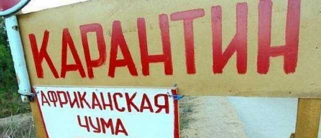 Бездействие главы Госпродпотребслужбы Полтавской области Геннадия Пикуля по вопросу АЧС оставляет регион без свинины