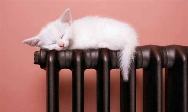 Субсидии в Украине по новым правилам: что изменится