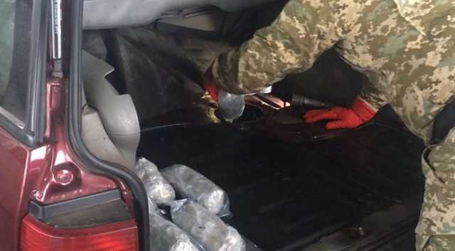 Пес-пограничник обнаружил более 20 кг наркотиков на пункте пропуска в РФ