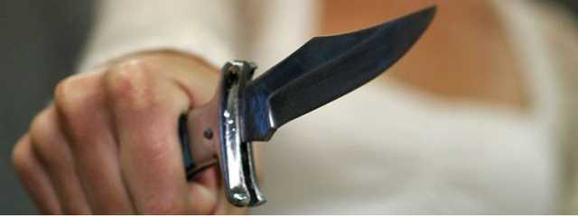 В Киеве в Пуще-Водице пьяная квартирантка зарезала хозяина арендованного жилья