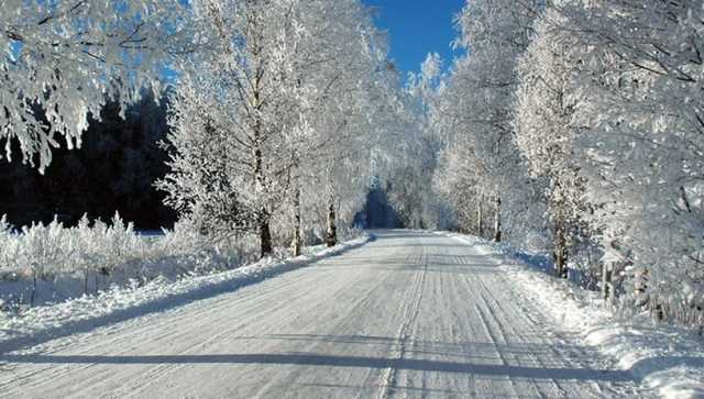 Все -25: синоптик дал прогноз погоды на зиму в Украине