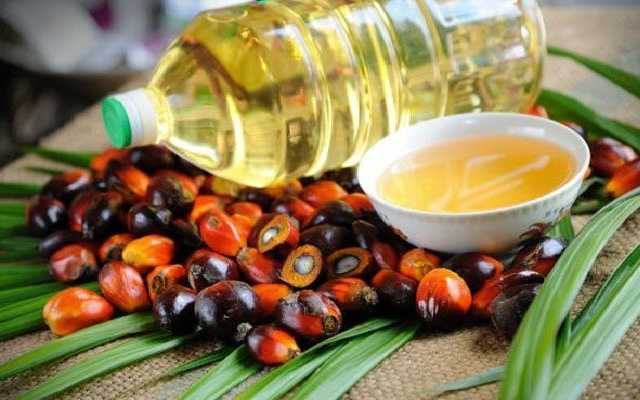 На Харківщині жінка переплутала олію та паливо. Її госпіталізували зі значними опіками