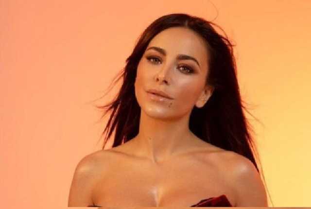 Зарабатывают миллионы: брата Лорак уличили в махинациях с оборонным бюджетом Украины