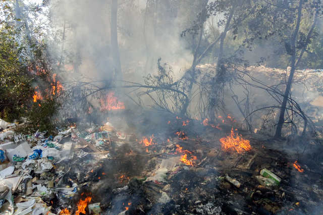 В Киеве горят Русановские сады: черный дым видно с разных районов Киева