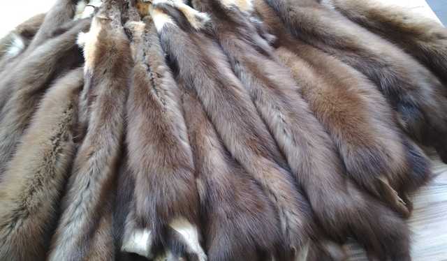 Петиція за заборону виробництва хутра набрала необхідну кількість підписів на сайті ВР