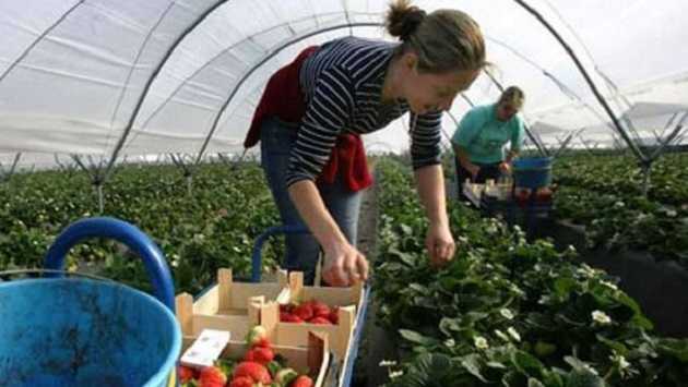 Вимагають задекларувати доходи: на Тернопільщині заробітчанам приходять «листи щастя» з податкової