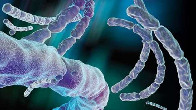 В Украине зафиксировали опасную инфекцию: введен карантин