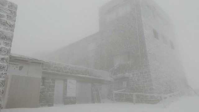 В Украину пришла зима: Карпаты засыпает снегом