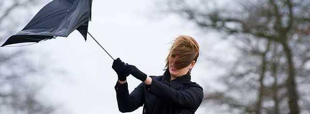 На Киев надвигаются сильный ветер и дождь