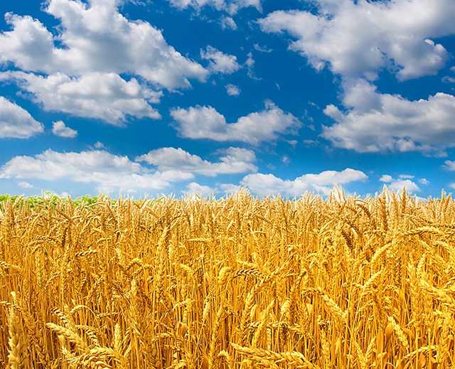 Сичеславская и Кропивницкая: Парубий объяснил, почему откладывают переименование областей