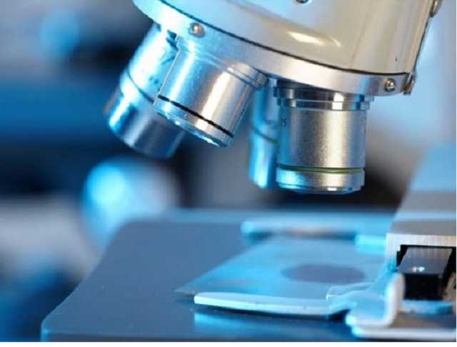 Опасное заболевание на Житомирщине: врачи сделали важное уточнение