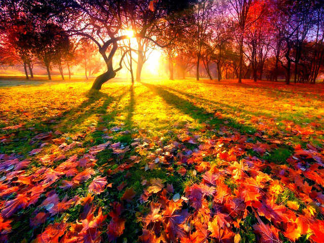 Синоптики рассказали о погоде в начале недели