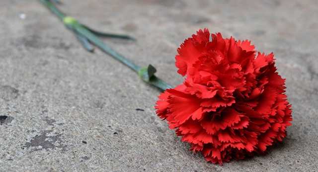 ’’Покойтесь с миром!’’ Подробности кровавого ДТП со студентами на Волыни