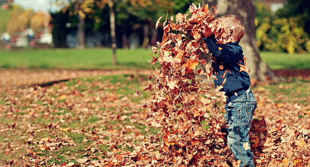Ворвутся тучи: синоптики изменили прогноз по Украине